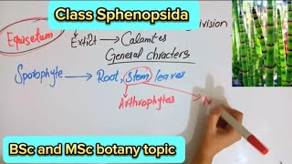 Class Sphenopsida|General characteristics|Habitat|Reproduction|Equisetum|Pteridophytes