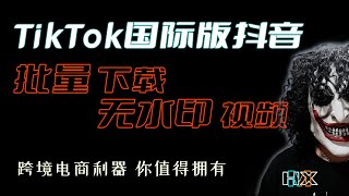 TikTok國際版抖音，批量下載指定用戶無水印視頻工具教程，大工作室、跨境電商利器，值得擁有！