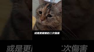 【大型紀錄片】心靈課程傳奇