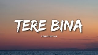 Tere Bina X Girls Like You | Tere Bina Remix | Guru