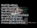 Lady Gaga-Always Remember Us This Way(Romanian Lyrics)