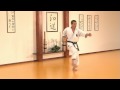 wadoryu kata seishan by roberto danubio sensei 7.dan jkf of wadokai