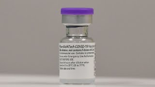 FDA One Step Closer to Approving Pfizer Covid-19 Vaccine