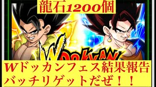 【ドッカンバトル】龍石1200個5周年Wドッカンフェス結果報告！LRゲットだぜ‼️