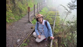 太平山鳩之澤溫泉～見晴古道～太平山莊紫葉槭 The Beauty of Taiwan