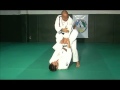 Brazilian Jiu   Jitsu Advanced Techniques