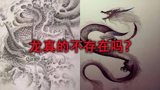 龙是真的不存在的吗？那为什么会有人拍下了疑似龙的画面？