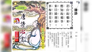 ⭐️唐詩⭐️～［雜詩-王維］