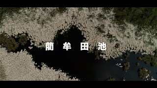 藺牟田池・鹿児島県