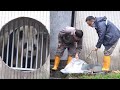 11.16 Fu Bao Keepers' Work #daily #update #panda #fubao #푸바오 #fyp #viral #pandalife #pandalover