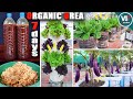 How to Make Organic Urea (Nitrogen) Fertilizer at Home