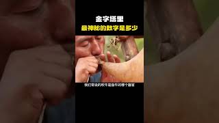 金字塔里最神秘的数字是多少？#科普 #知识 #冷知识