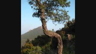 Divining Part 1 ENG