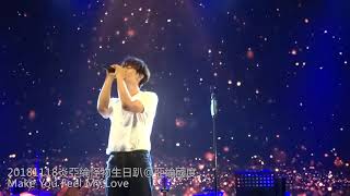 20181118炎亞綸AARON YAN【怪物生日趴】10Make You Feel My Love