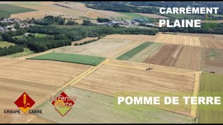 CARREMENT PLAINE POMME DE TERRE (+ bonus blé) : 08/06/2023