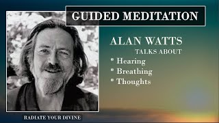 10 Minutes Guided Meditation ~ Alan Watts (Relaxing Music & Ocean Ambience)