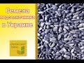 Семена Подсолнечника 🌻 Купить в Украине 🌻 от Агроэксперт-Трейд