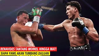 Benavides vs David Morrel Pertarungan Paling Bergengsi | Tinju Dunia Hari Ini | Tinju Hari Ini