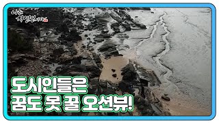 도시인들은 꿈도 못 꿀 오션뷰! 바다 앞에서 티 타임 즐기는 이승윤과 자연인 MBN 211229 방송