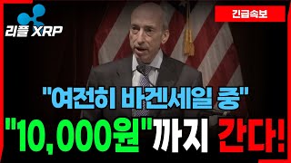 [리플 XRP] 여전히 바겐세일 중! 'SEC' 의장 후보자 리스크에도 \