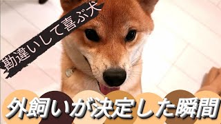 お留守番中にやんちゃして外飼いが決定した瞬間の柴犬【柴犬てつくんと赤ちゃんのおもしろ可愛いオススメ癒し動画】