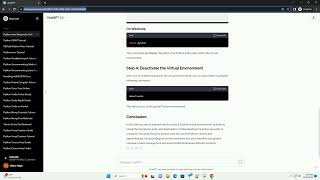 python venv interpreter path