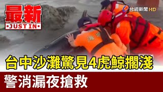 台中沙灘驚見4虎鯨擱淺 警消漏夜搶救【最新快訊】