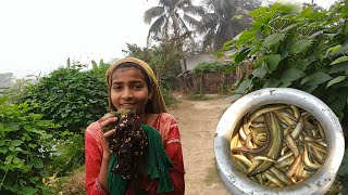 এই কনকনে ঠান্ডায় এতগুলো চিকরা মাছ কিভাবে ধরলো কনিকা 😳 | Our Village Life Vlog