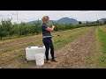 How to properly take soil samples for nematodes | Corteva Agriscience Canada