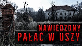 NAWIEDZONY PAŁAC W WYMARŁEJ WSI