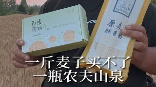 一斤麦子不到一瓶水