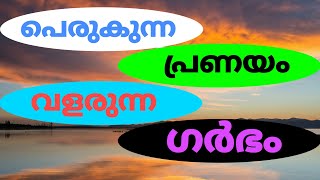 ഇതുപോലെ ആരും ഗർഭിണിയാവരുത്