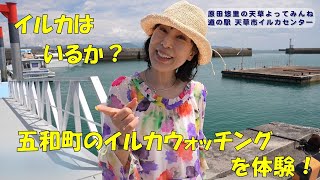 原田悠里の天草よってみんね♪　～イルカウォッチング編～