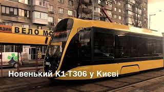 Жовтосліпучий український красунчик К1-Т306