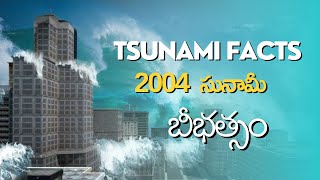 TSUNAMI FACTS | 2004 సునామీ బీభత్సం