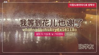 [가사,병음,해석]我等到花儿也谢了 张学友 아등도화아야사료 장학우 중국노래