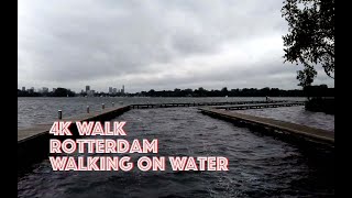 4K Nature Walk : Beautiful lake in Rotterdam : Kralingse Bos. Binaural Walk 190