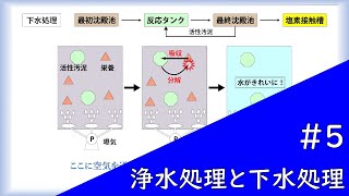 水問題の大枠を理解する#5【浄水処理と下水処理ー水をきれいにする方法ー】