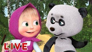Masha and the Bear 🎬💥 LIVE STREAM 💥🎬 All episodes for kids 👶 Cartoon live best e