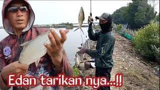 Mancing bandeng perdana ‼️ spot paling edan joss banget tarikannya