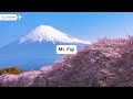 japan s cherry blossom season. 2025 best time to visit top activities u0026 must see spots from uae