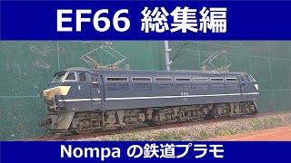 EF66総集編(マイクロエース1/80、16.5mm)