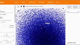 Tensorboard embedding visualisation before training