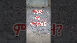 ዋሪዳ እና ምርኩዝ?