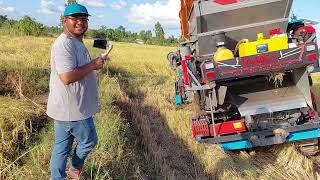 แบคโฮ ลาก รถเกี่ยวข้าว TAMCO Z3000 ขึ้นจากหล่ม🌾🌾