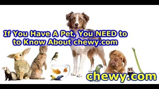 If You Have A Pet, You Need to Know About chewy.com!