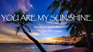 You Are My Sunshine The Hound The Fox Lullaby Version Lyrics笙ｫ笙ｫ Chords