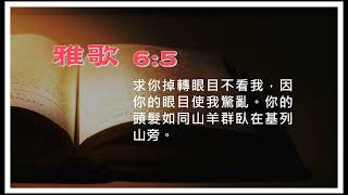 【淺嚐雅歌】6:5 求你掉轉眼目不看我，因你的眼目使我驚亂。你的頭髮如同山羊群臥在基列山旁。