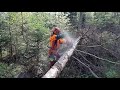 Easy Lumberjack Work! Husqvarna 560XP number ONE!