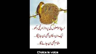 Beautiful Quotes in Urdu and Hindi By Choice is voice #shorts